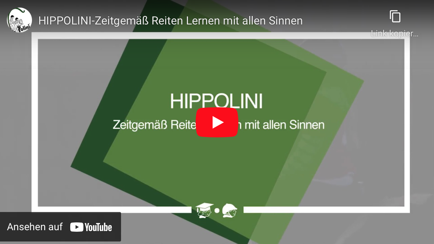 Hippolini Video